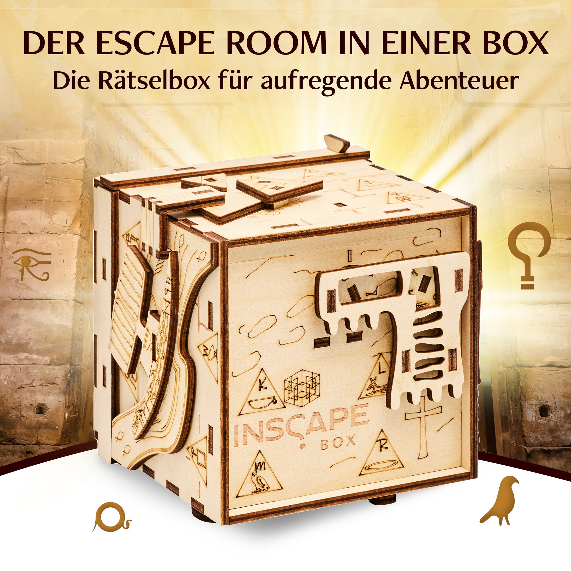 Caja de rompecabezas secreta del faraón, sala de escape en una caja para  adultos, caja de pistas, rompecabezas mentales para adultos, cajas de